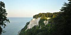 Kreidefelsen Rügen